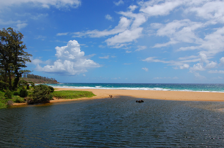 Mouth of a River