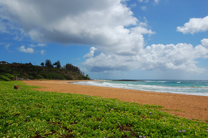 Northern End of the Beach