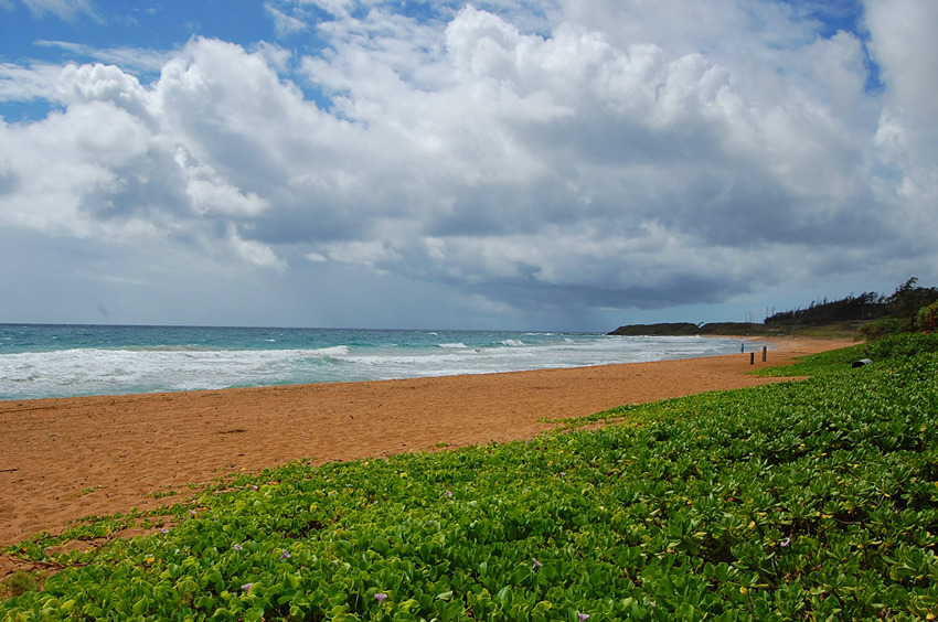 Southern End of the Beach