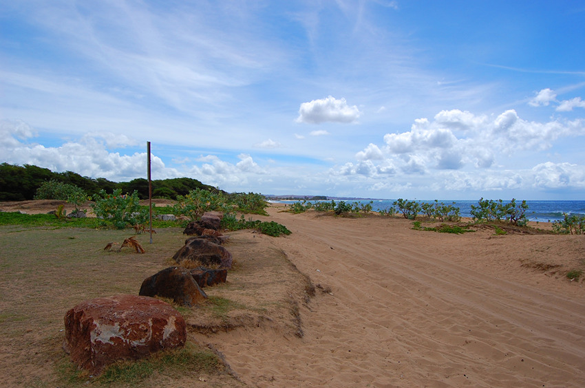 Sandy and Park Area