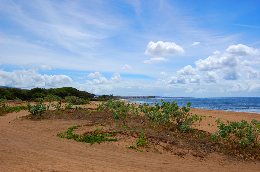 The Widest Strech of the Beach