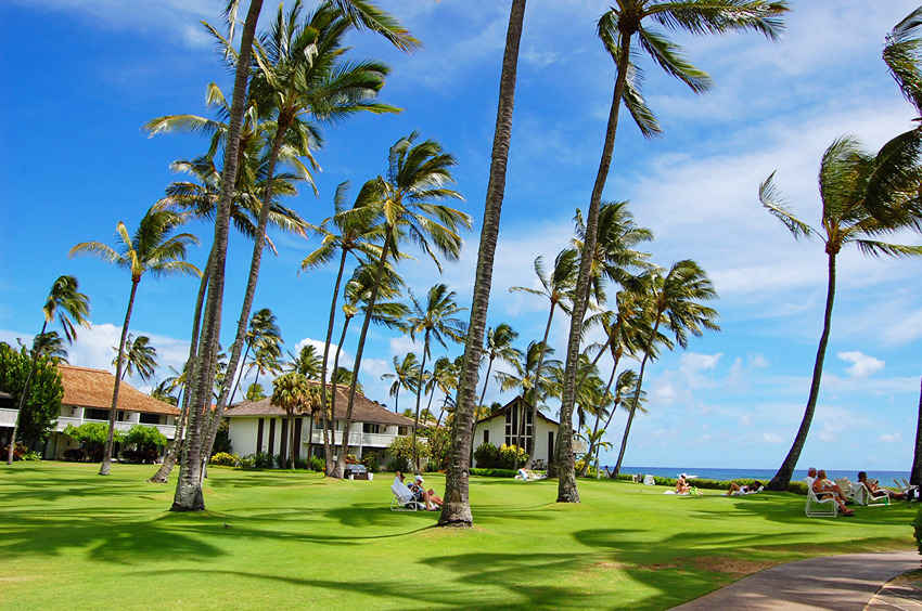 Nicely Landscaped Grounds