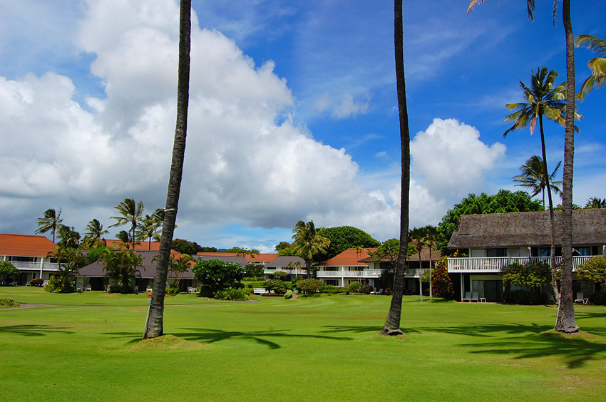 Surrounding Hotels