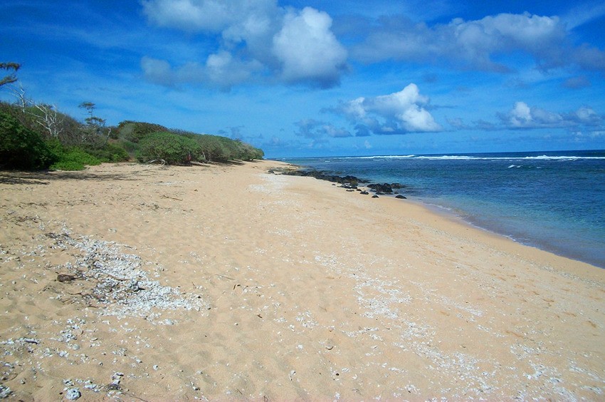 Larsens Beach Looking North