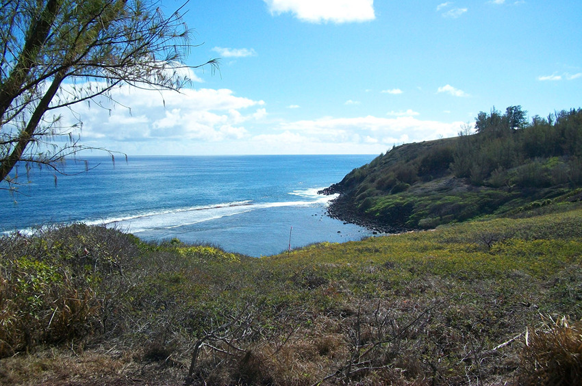 Start of the Trail Facing South