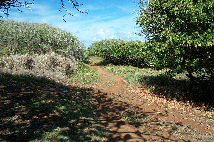 Trail to Larsens Beach