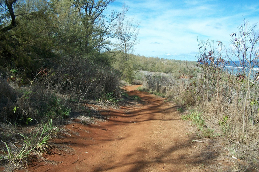 Trail to Larsens Beach 2