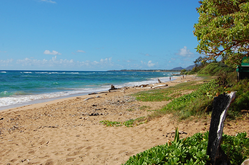 Middle Section of Lydgate Beach