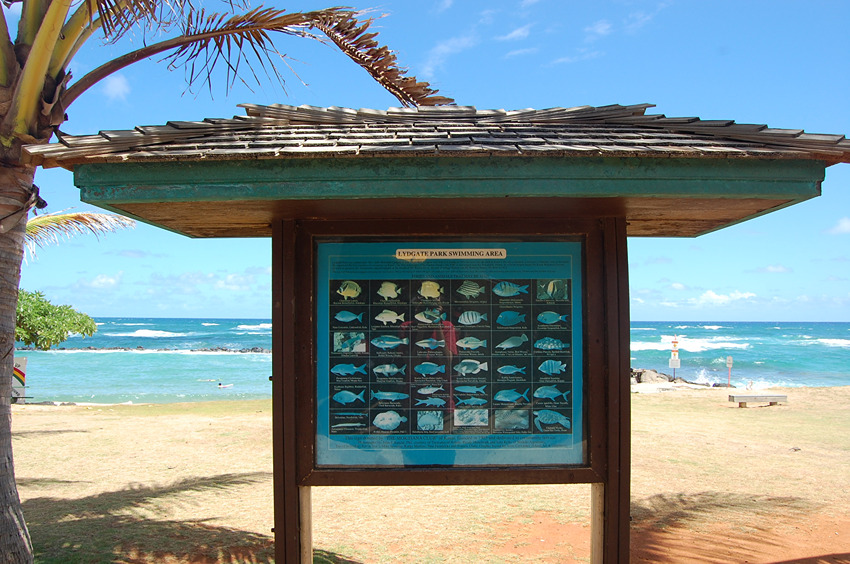Sign Explains Reef Fish
