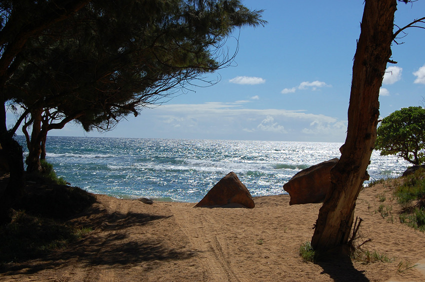 Walkway to the Beach