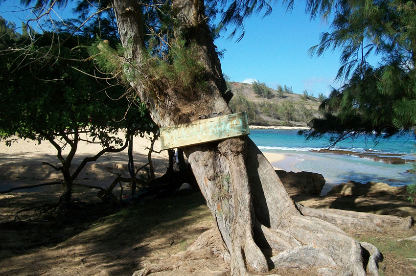Beach Sign
