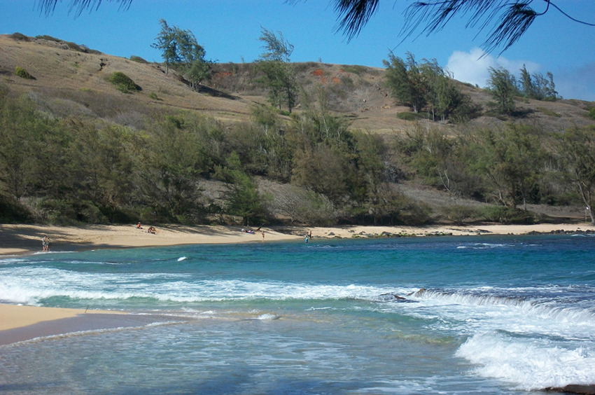 Middle Portion of the Beach