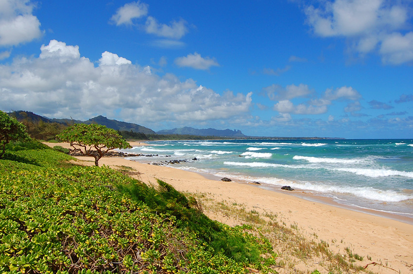Good Beach for a Stroll