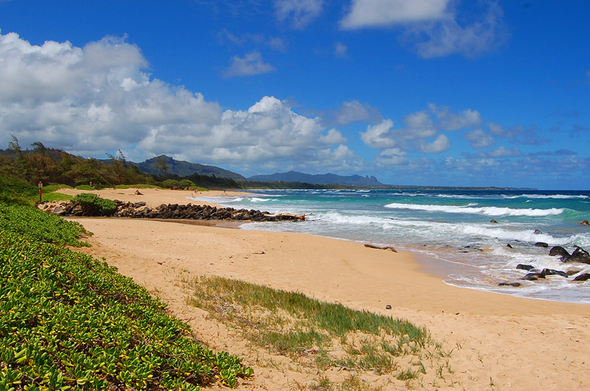 Long Sandy Beach