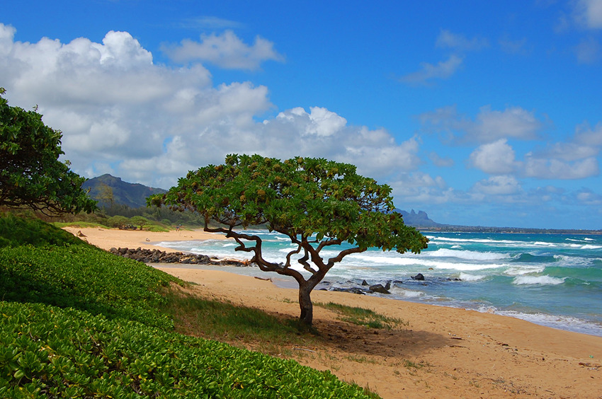 Nukolii Beach