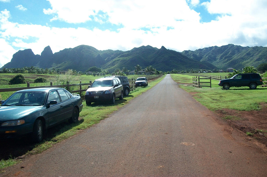 Road from Public Access to Papaa Bay