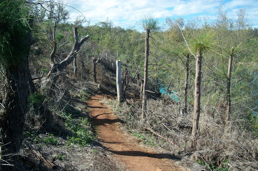 Trail to Papaa Bay