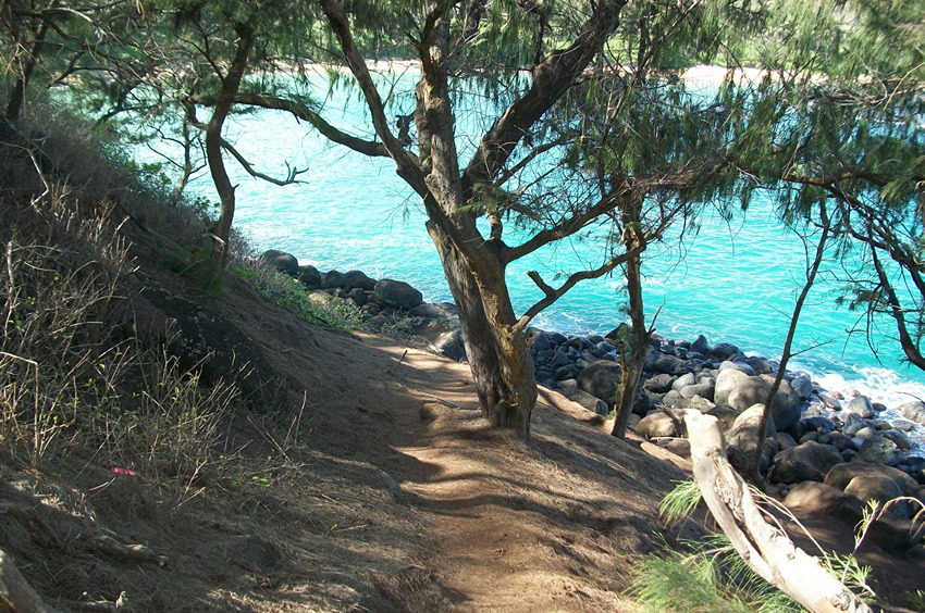 Trail to Papaa Bay 2