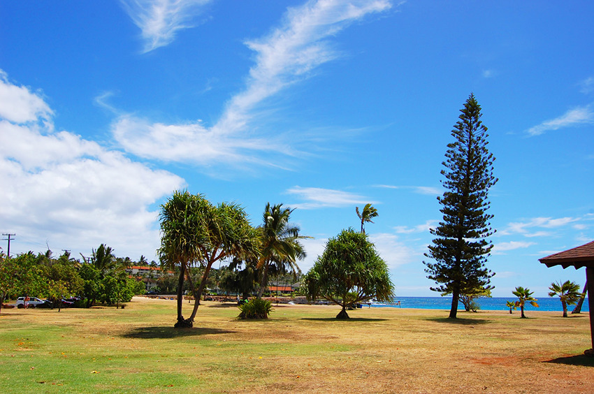 Poipu Beach Park