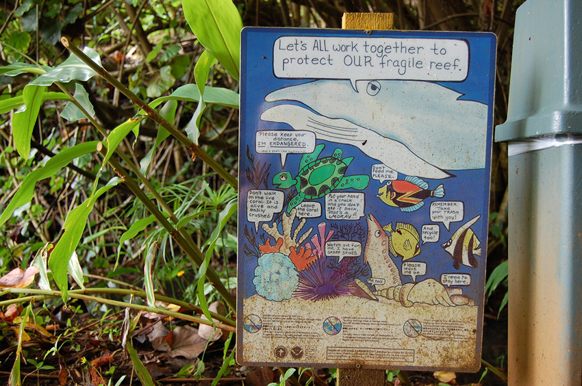 Beach Sign