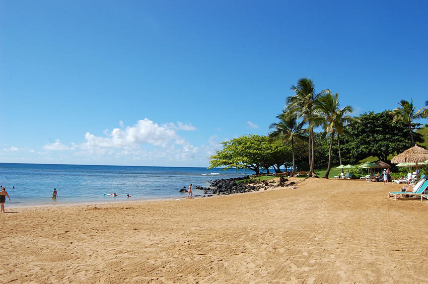 Nice Sandy Beach