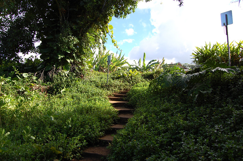 Beginning of the Trail