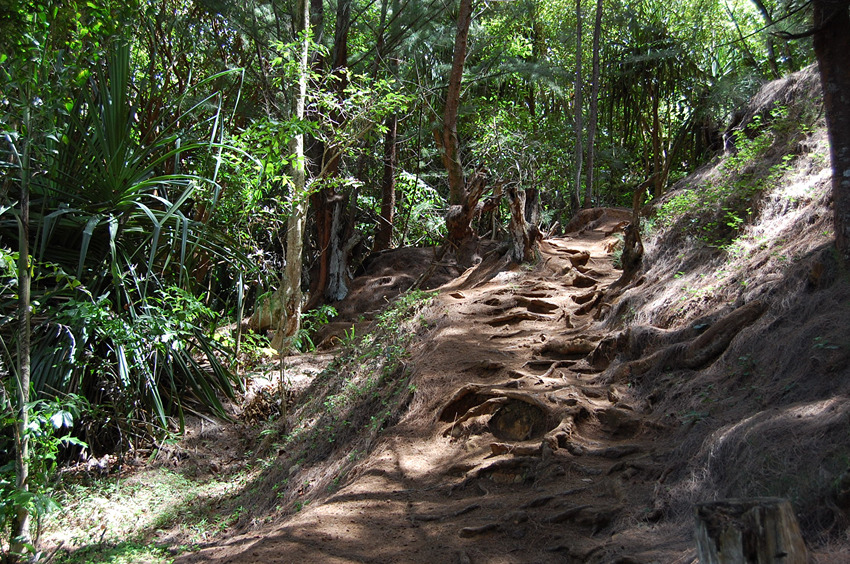 Trail to Queens Bath