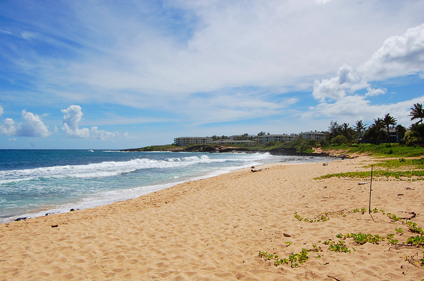 Long Sandy Beach