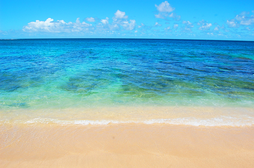 Known for Its Spectacular Coral Reef