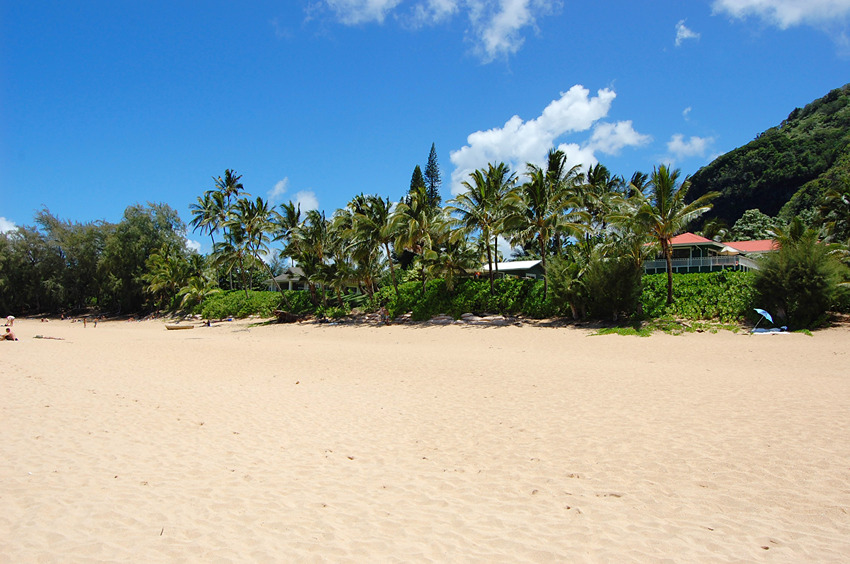 Not Much Shade on the Beach