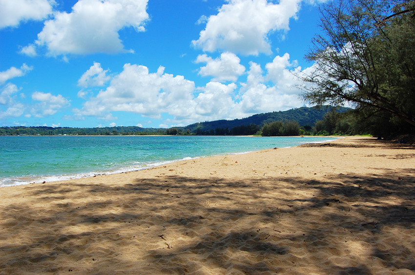 Waikoko Beach