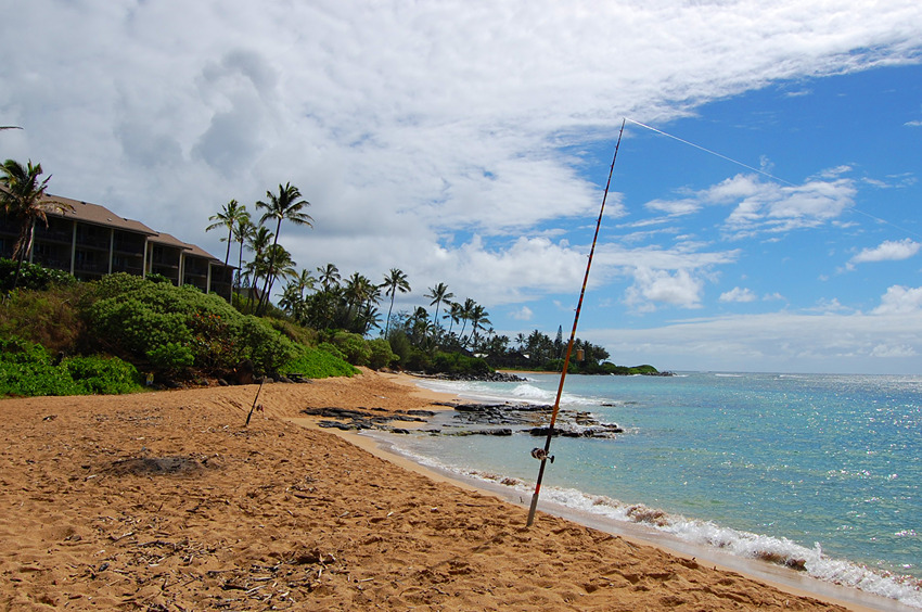 Good Fishing
