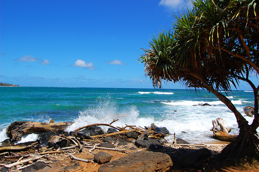 Splashing Waves Near Wailua Bay