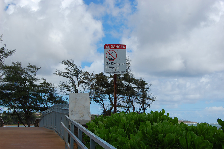 No Jumping or Diving from the Bridge