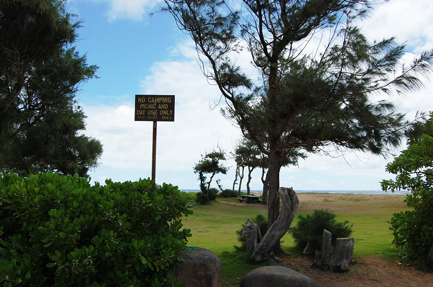 Park Area