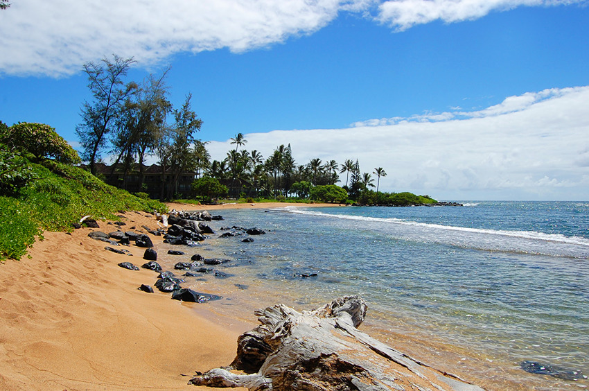 Protected Swimming Cove