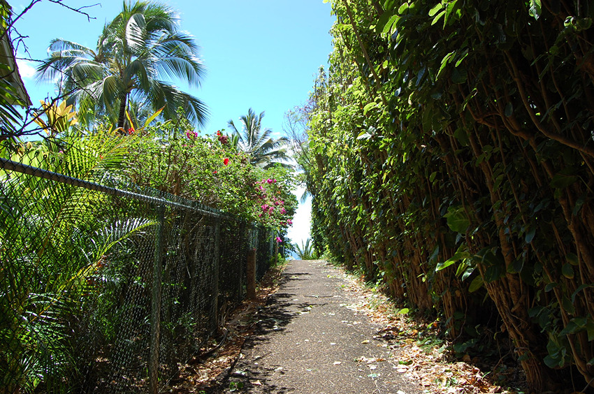 Public Beach Access from Papaloa Road