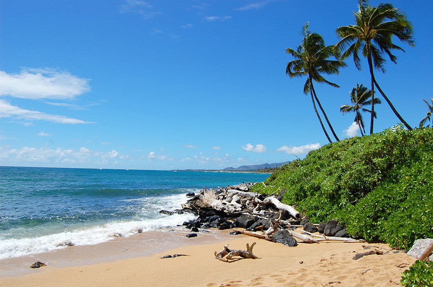 Scenic Cove