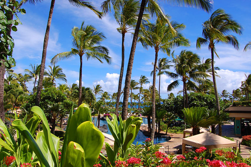 View at the Grand Hyatt Resort