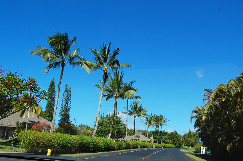 Driving in Princeville
