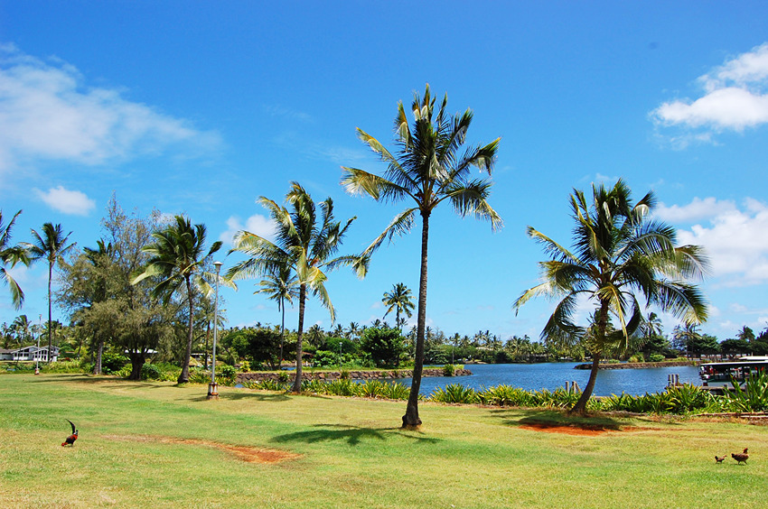 Wailua Marina