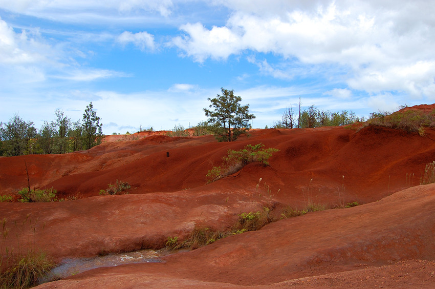 Red Earth