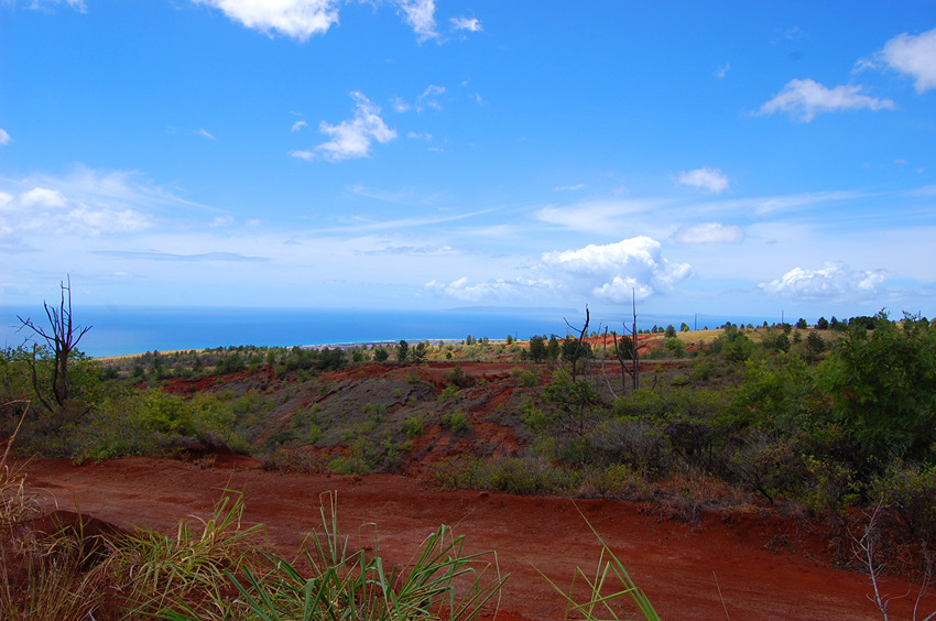 Scenic Lookout