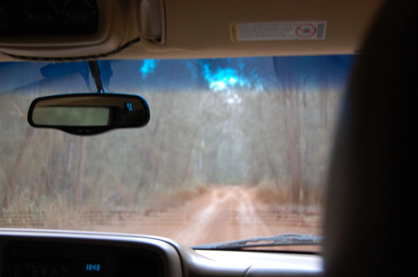 Nearby Haunted Forest