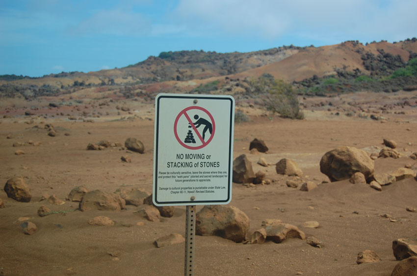 Pay Attention to Signs