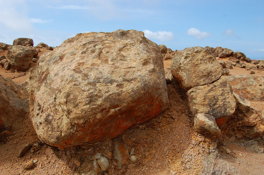 Rock Garden