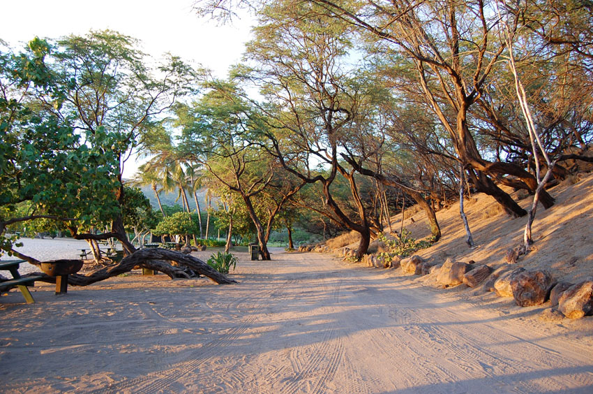 Walkway to Puu Pehe