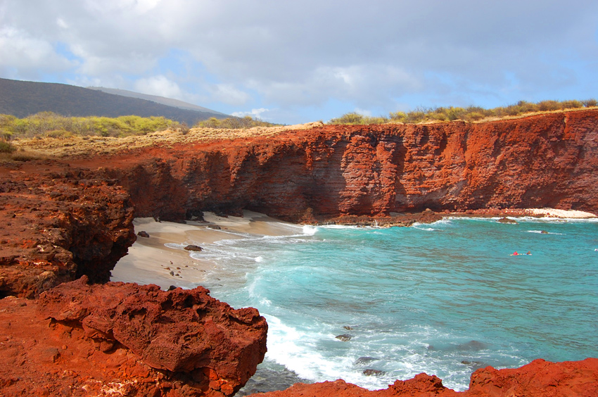Sharks Bay