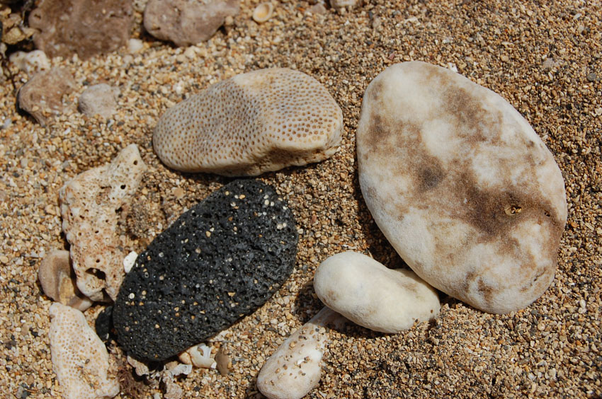 Lava Rocks