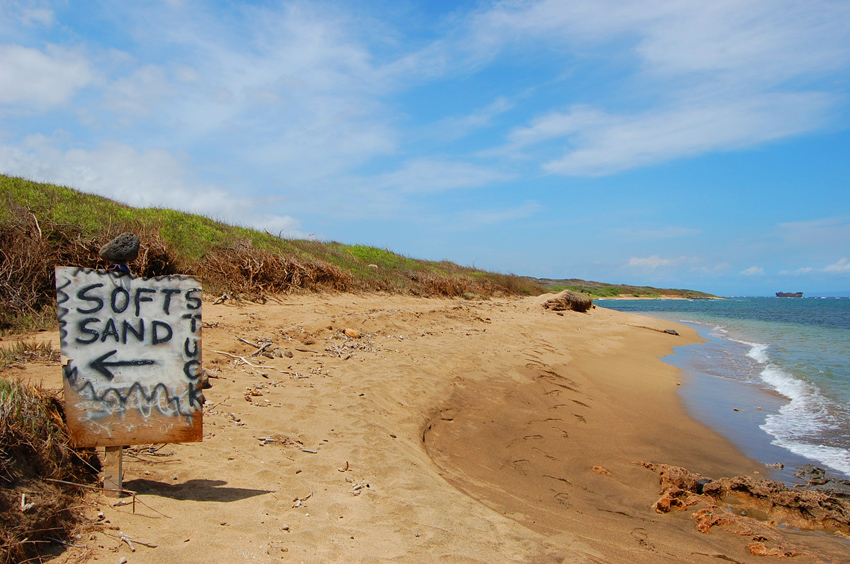 Soft and Golden Sands